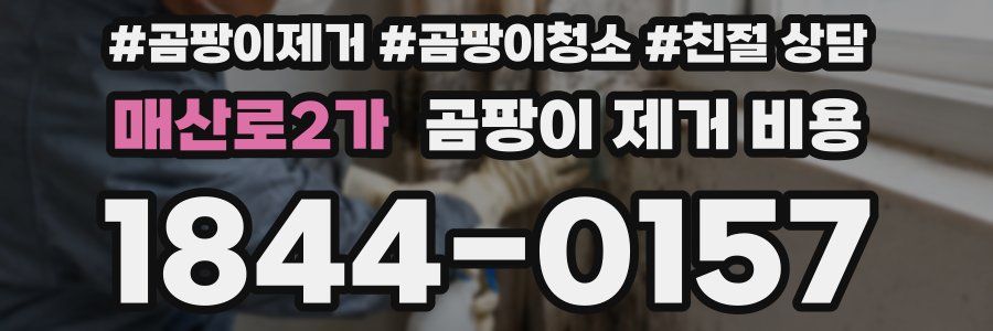 매산로2가 곰팡이 제거 비용