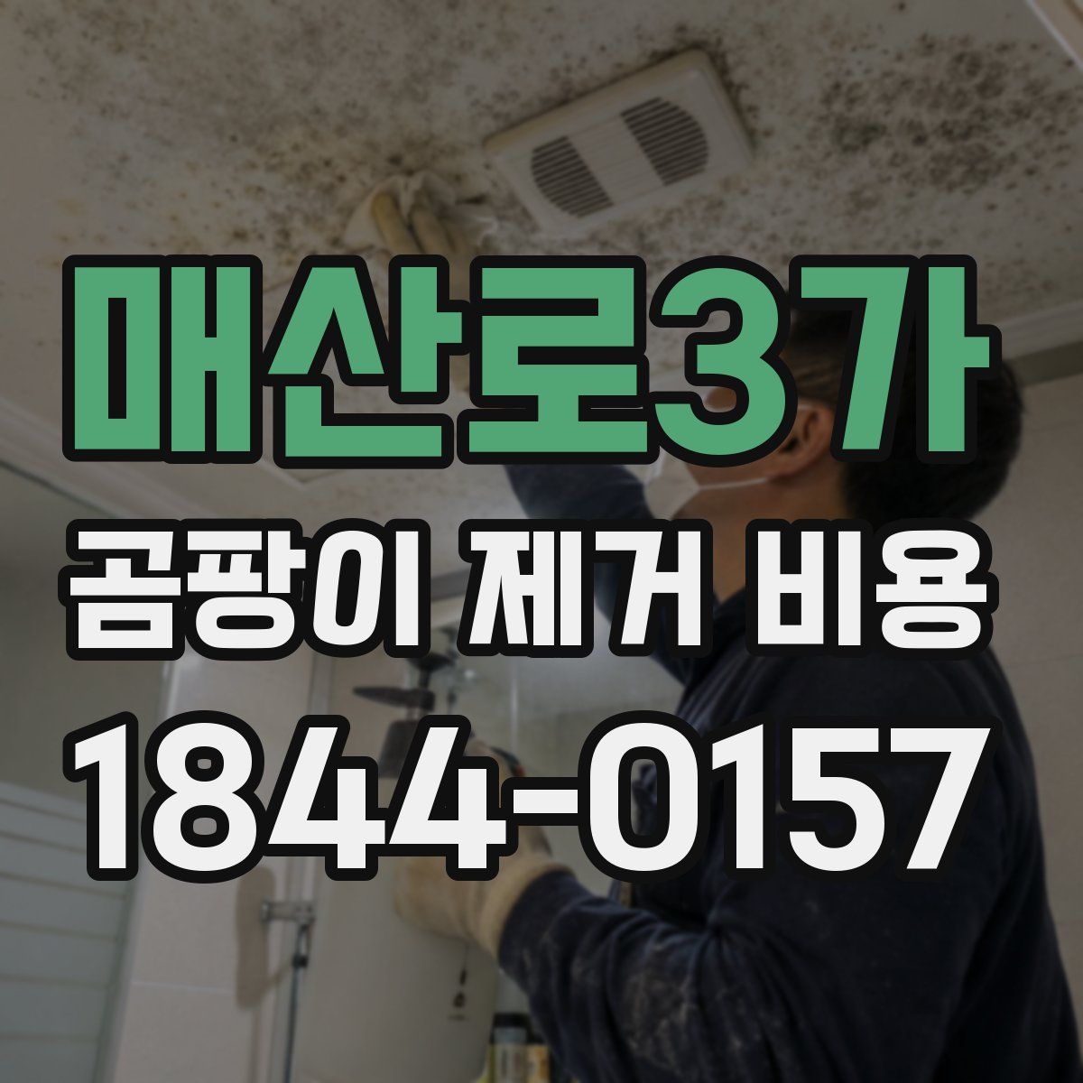 매산로3가 곰팡이 제거 비용