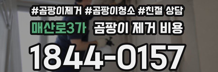 매산로3가 곰팡이 제거 비용