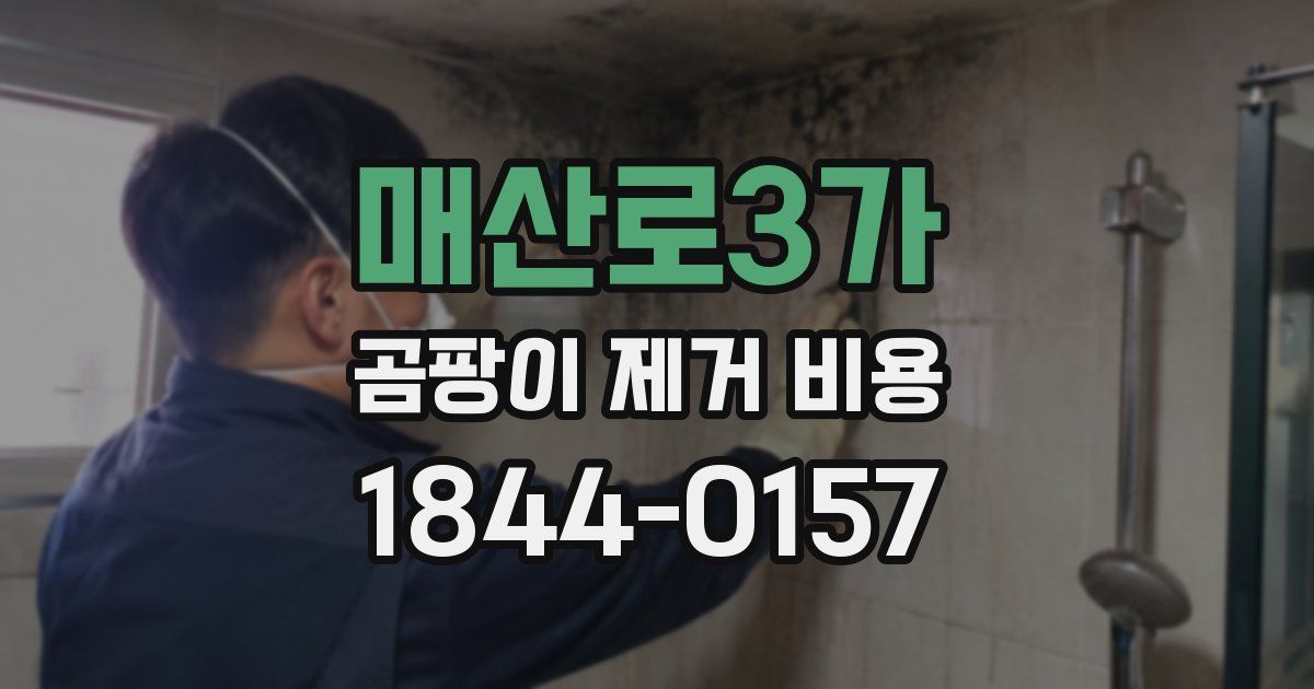 매산로3가 곰팡이 제거 비용