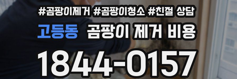 고등동 곰팡이 제거 비용