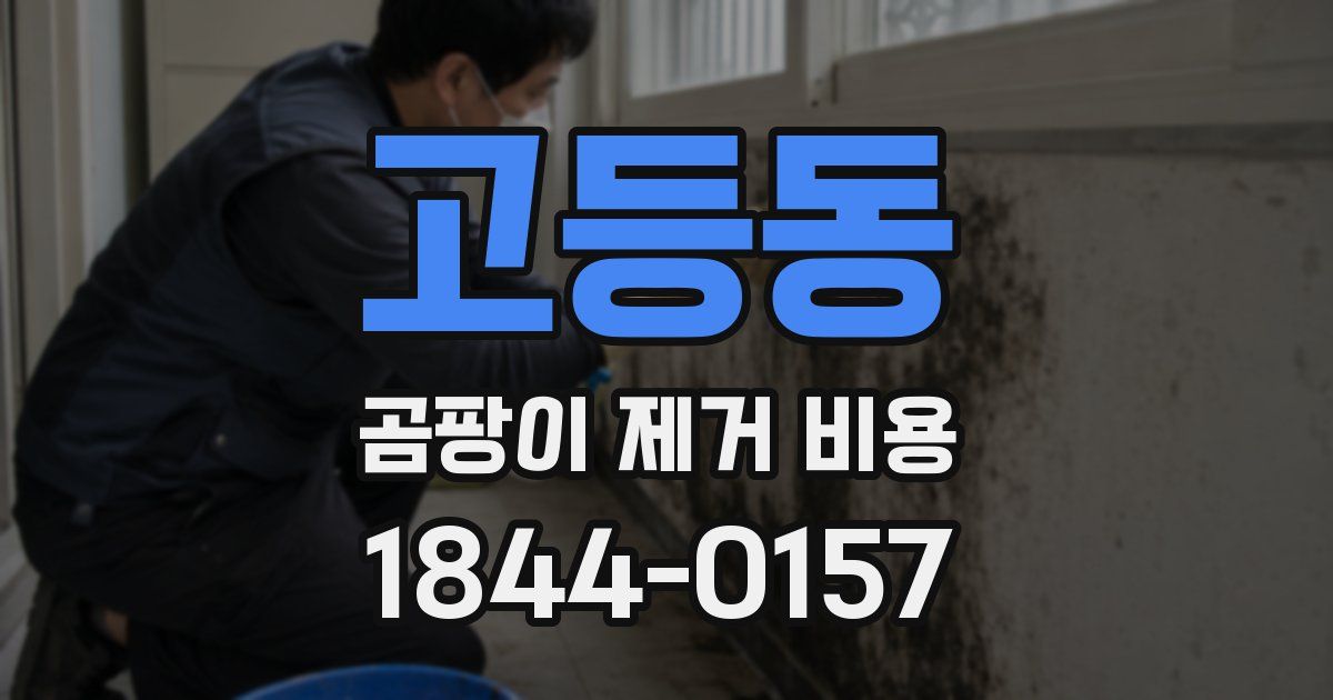 고등동 곰팡이 제거 비용