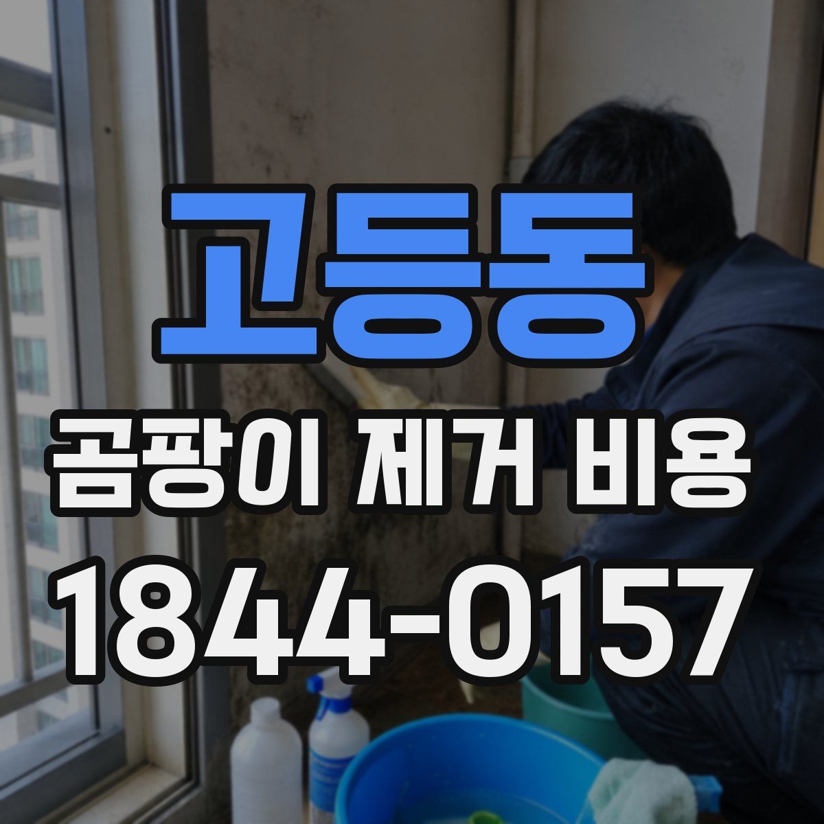 고등동 곰팡이 제거 비용