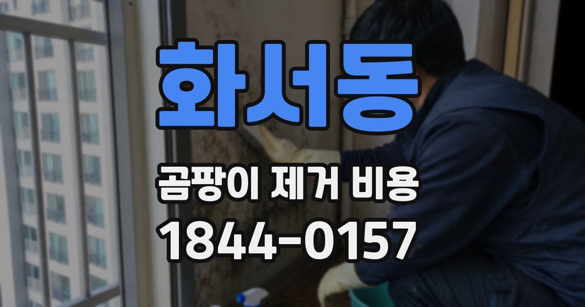 화서동 곰팡이 제거 비용