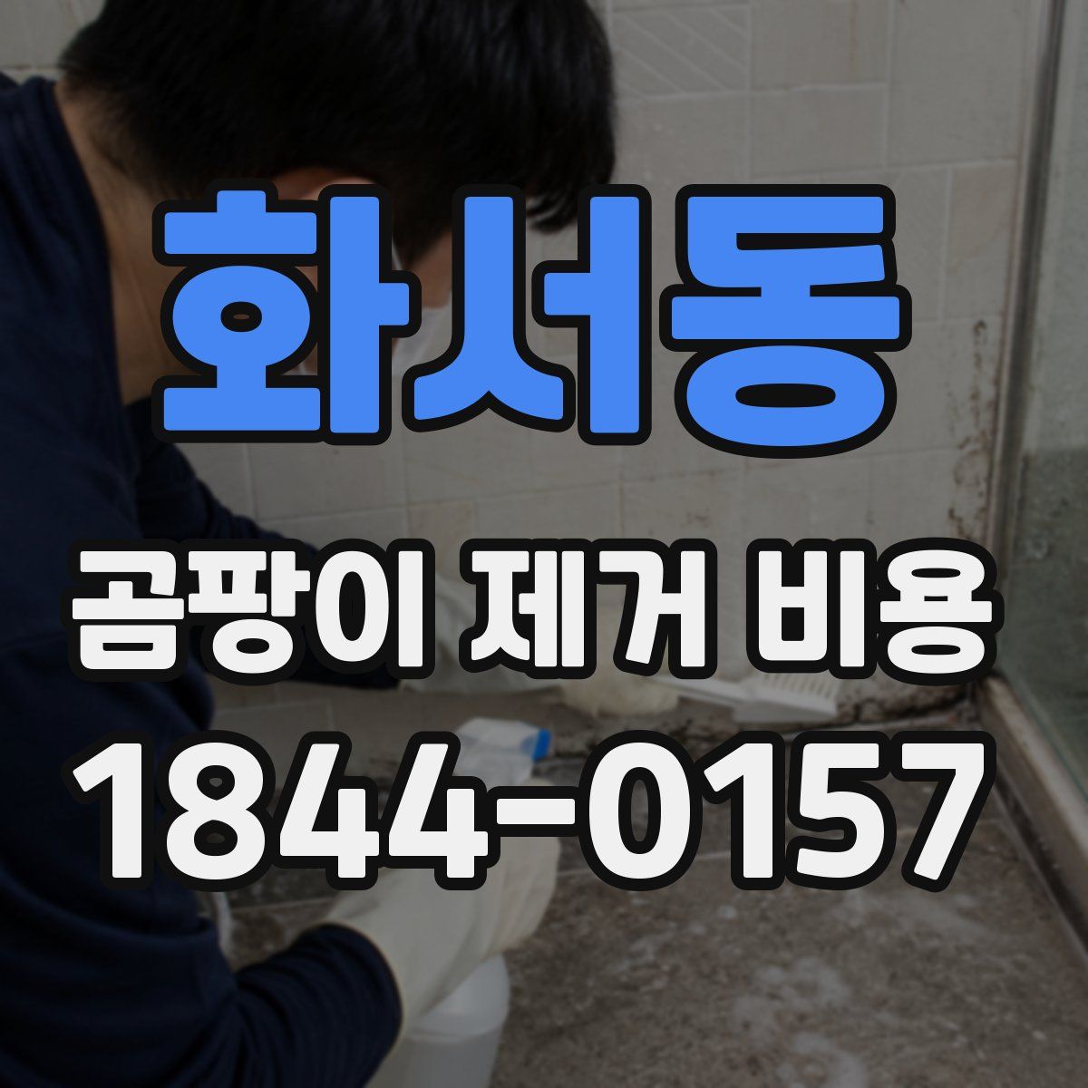 화서동 곰팡이 제거 비용