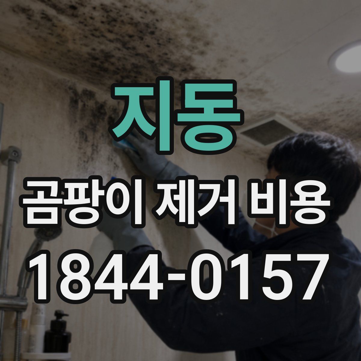 지동 곰팡이 제거 비용