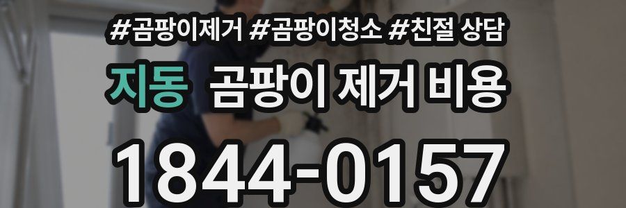 지동 곰팡이 제거 비용