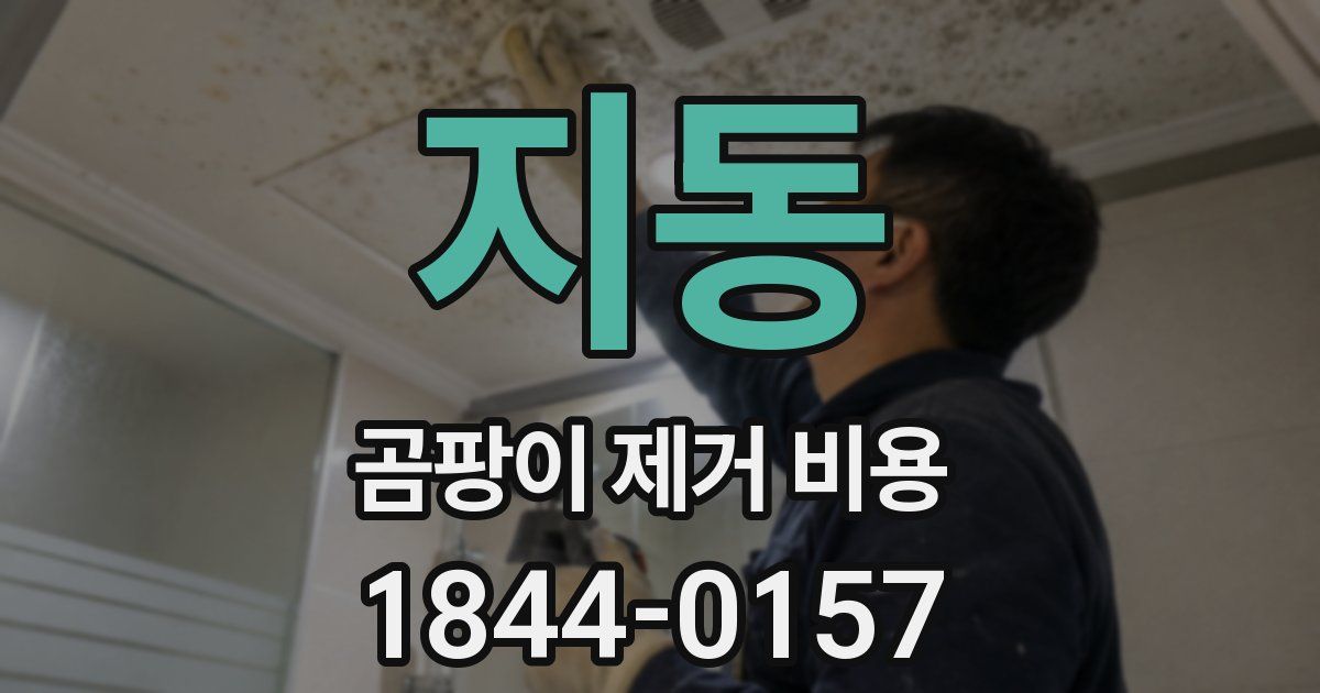 지동 곰팡이 제거 비용
