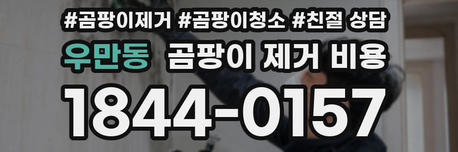 우만동 곰팡이 제거 비용