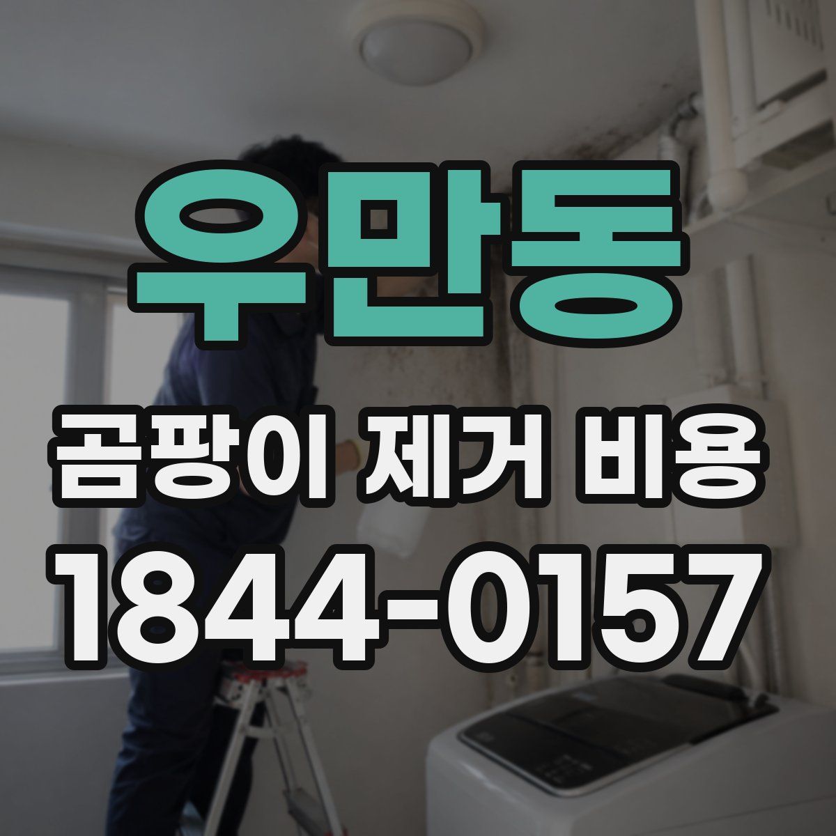 우만동 곰팡이 제거 비용
