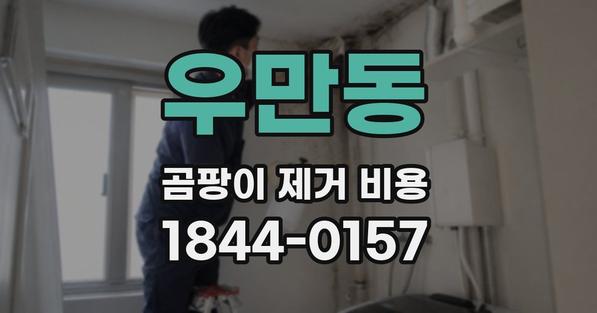 우만동 곰팡이 제거 비용