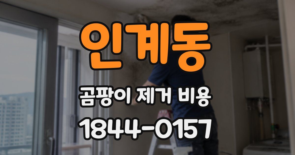 인계동 곰팡이 제거 비용