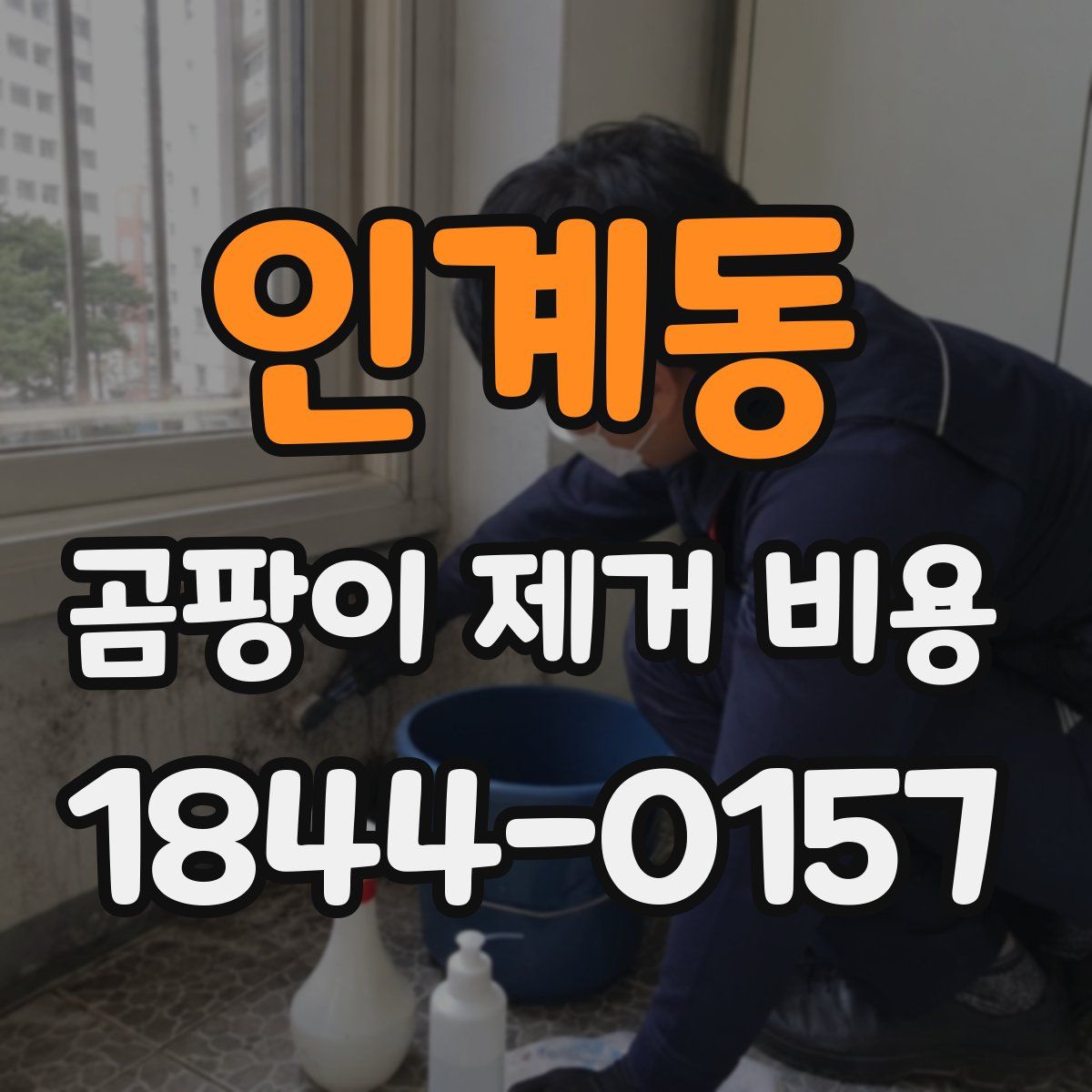인계동 곰팡이 제거 비용