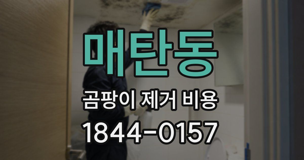 매탄동 곰팡이 제거 비용