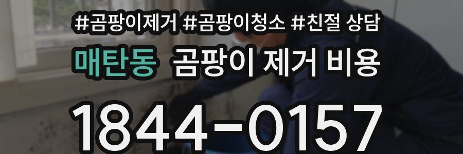 매탄동 곰팡이 제거 비용