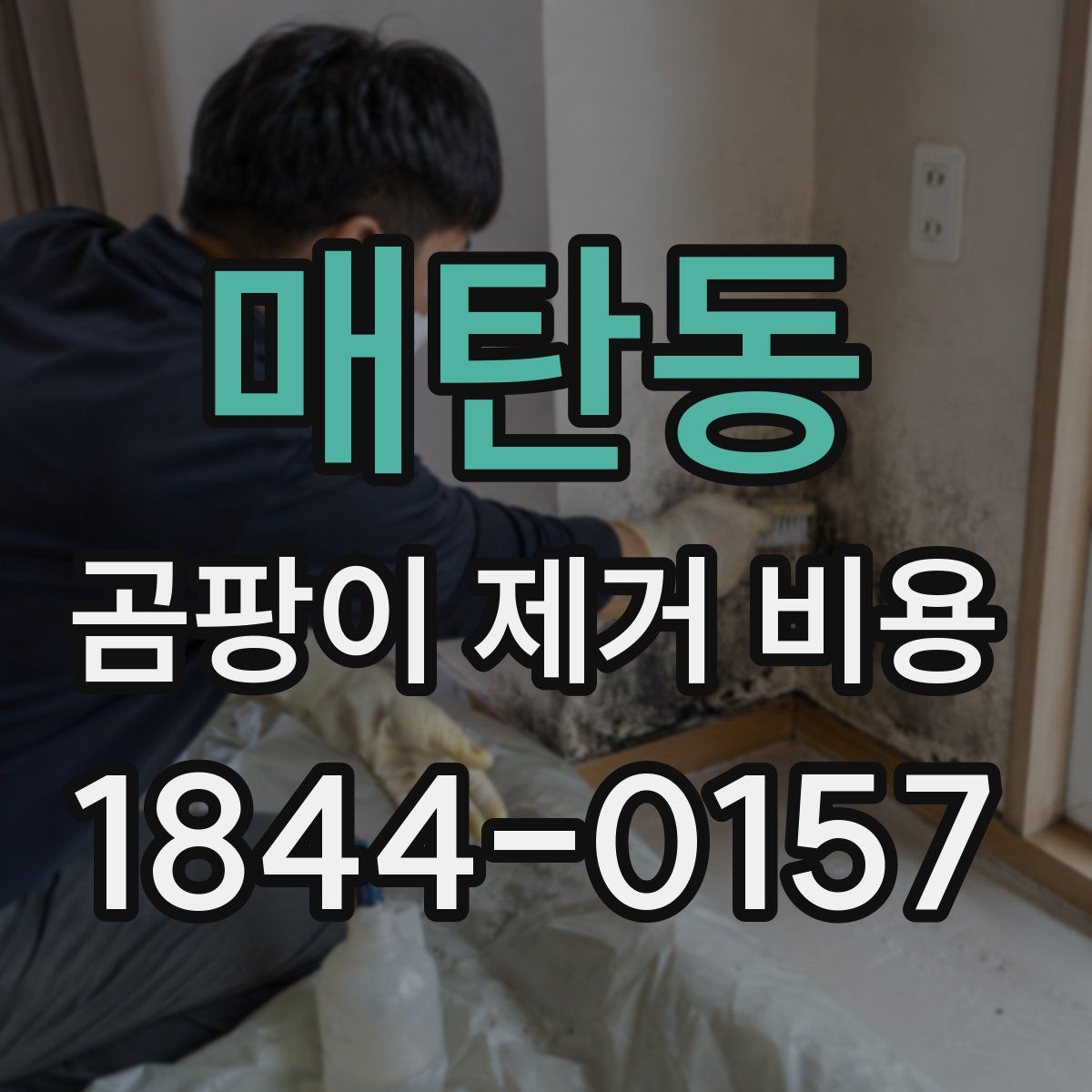 매탄동 곰팡이 제거 비용
