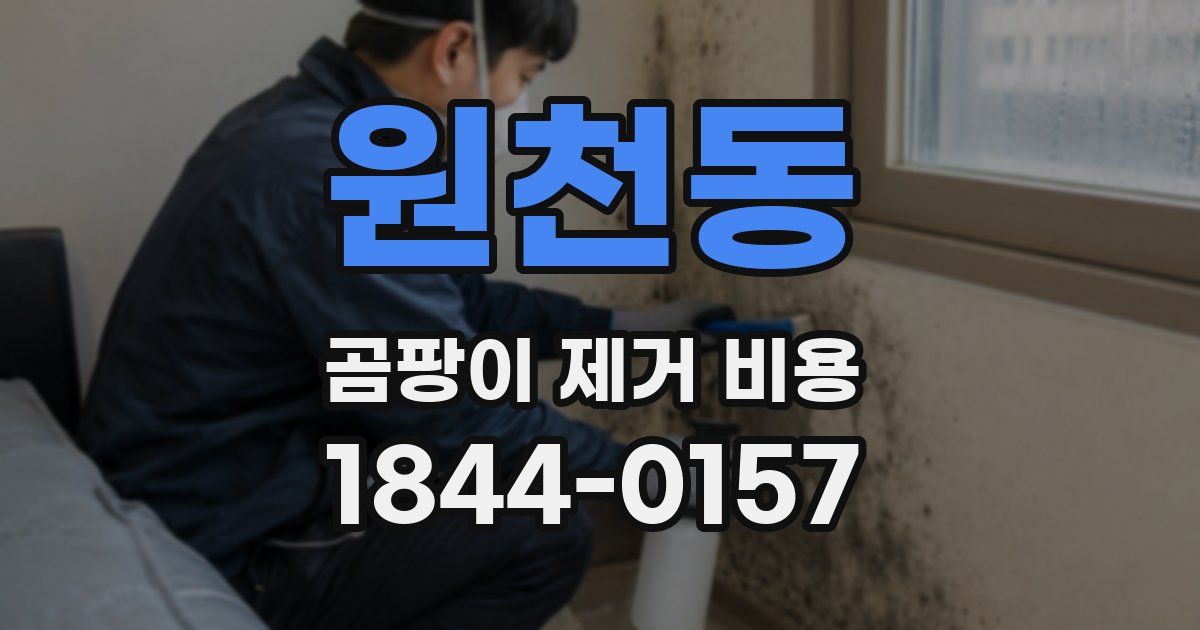 원천동 곰팡이 제거 비용