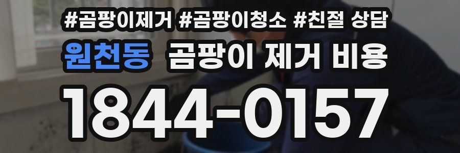 원천동 곰팡이 제거 비용