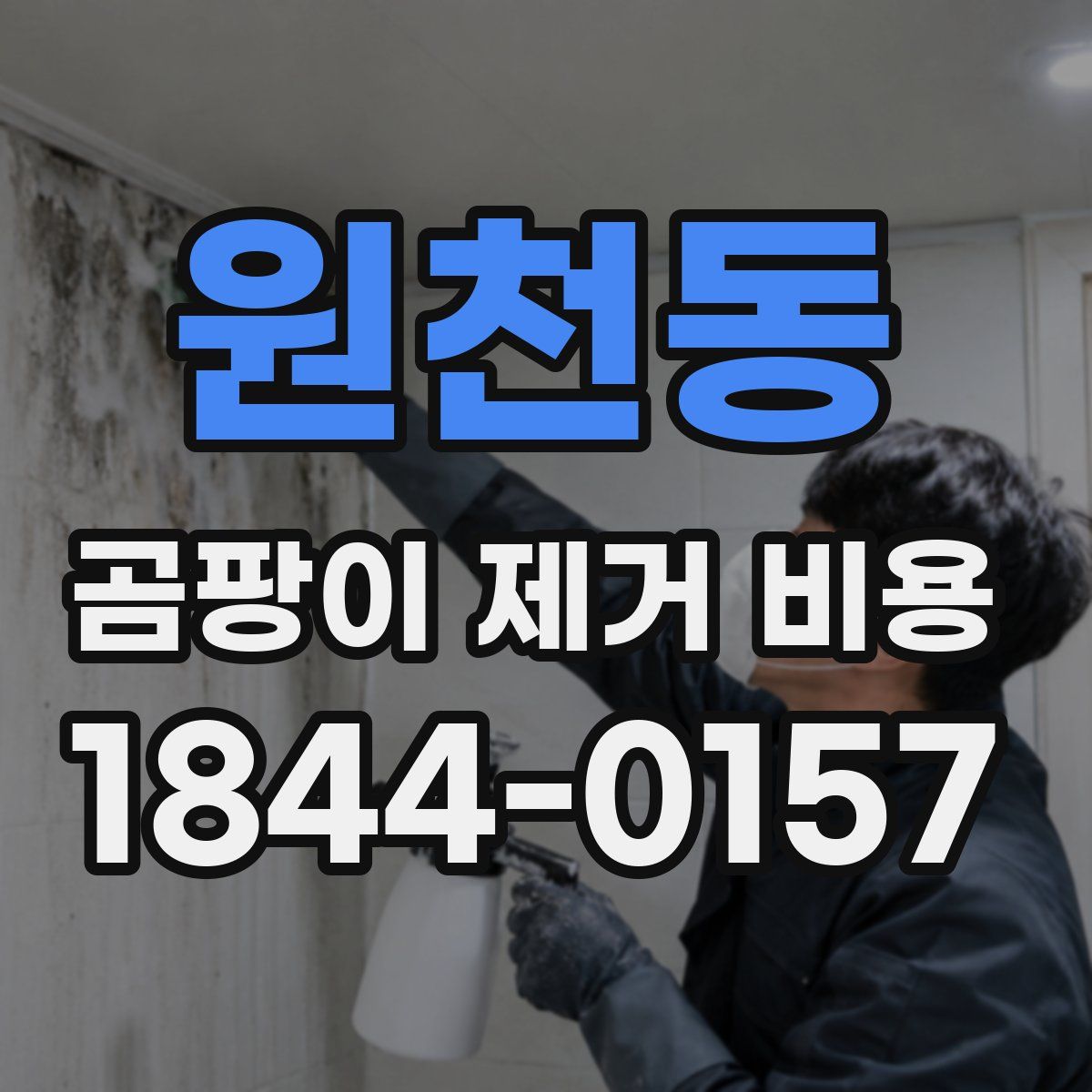 원천동 곰팡이 제거 비용
