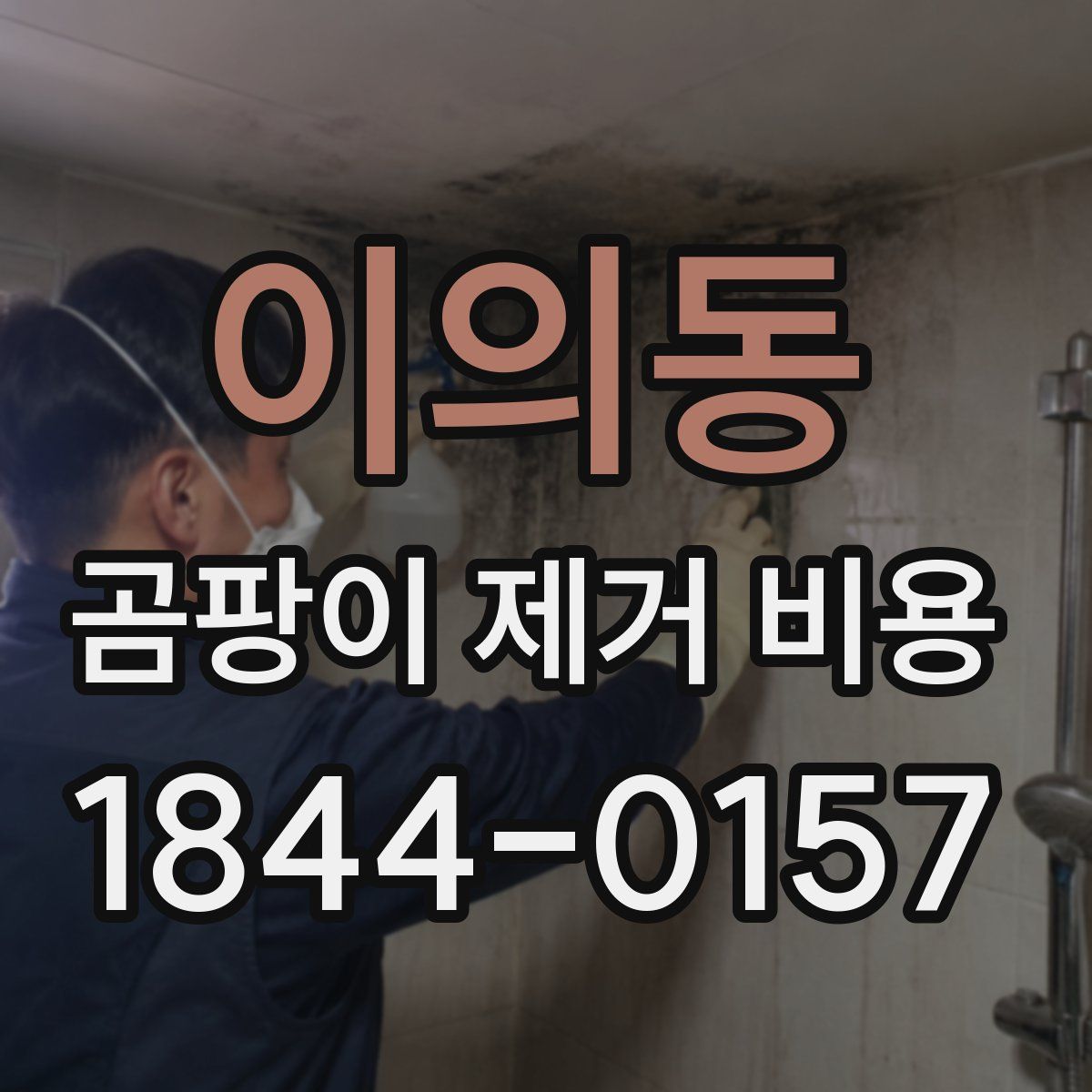 이의동 곰팡이 제거 비용
