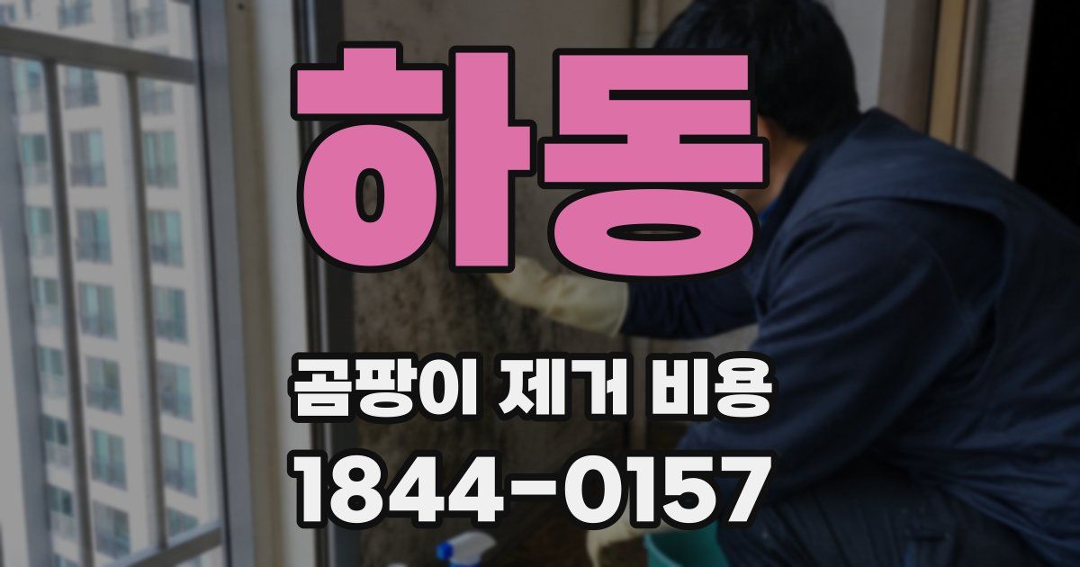 하동 곰팡이 제거 비용