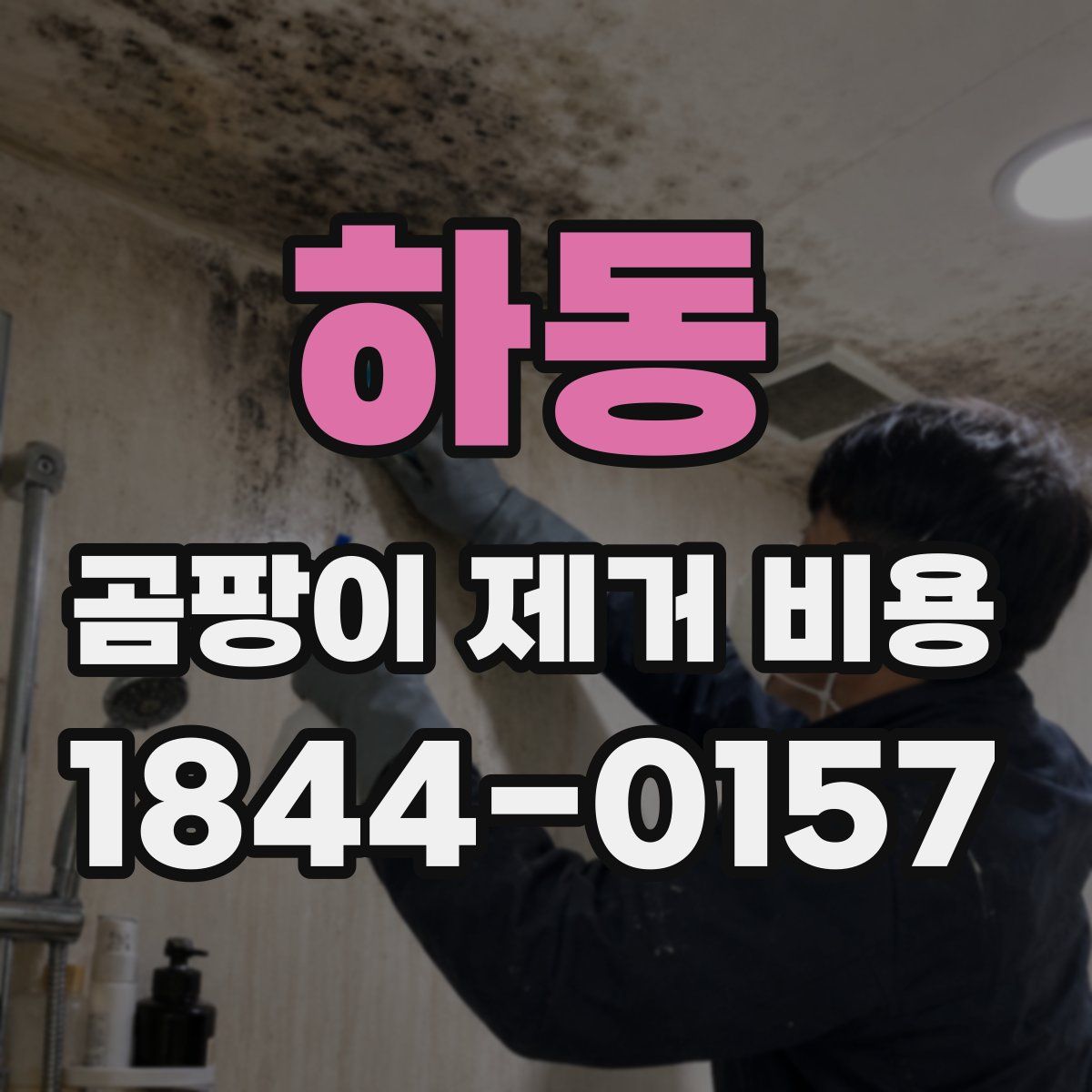 하동 곰팡이 제거 비용