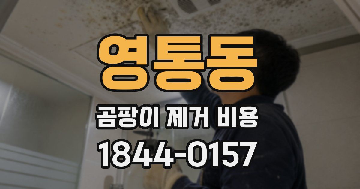 영통동 곰팡이 제거 비용