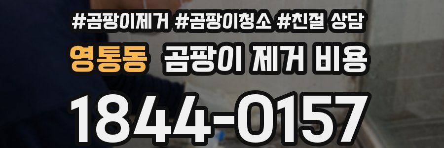 영통동 곰팡이 제거 비용