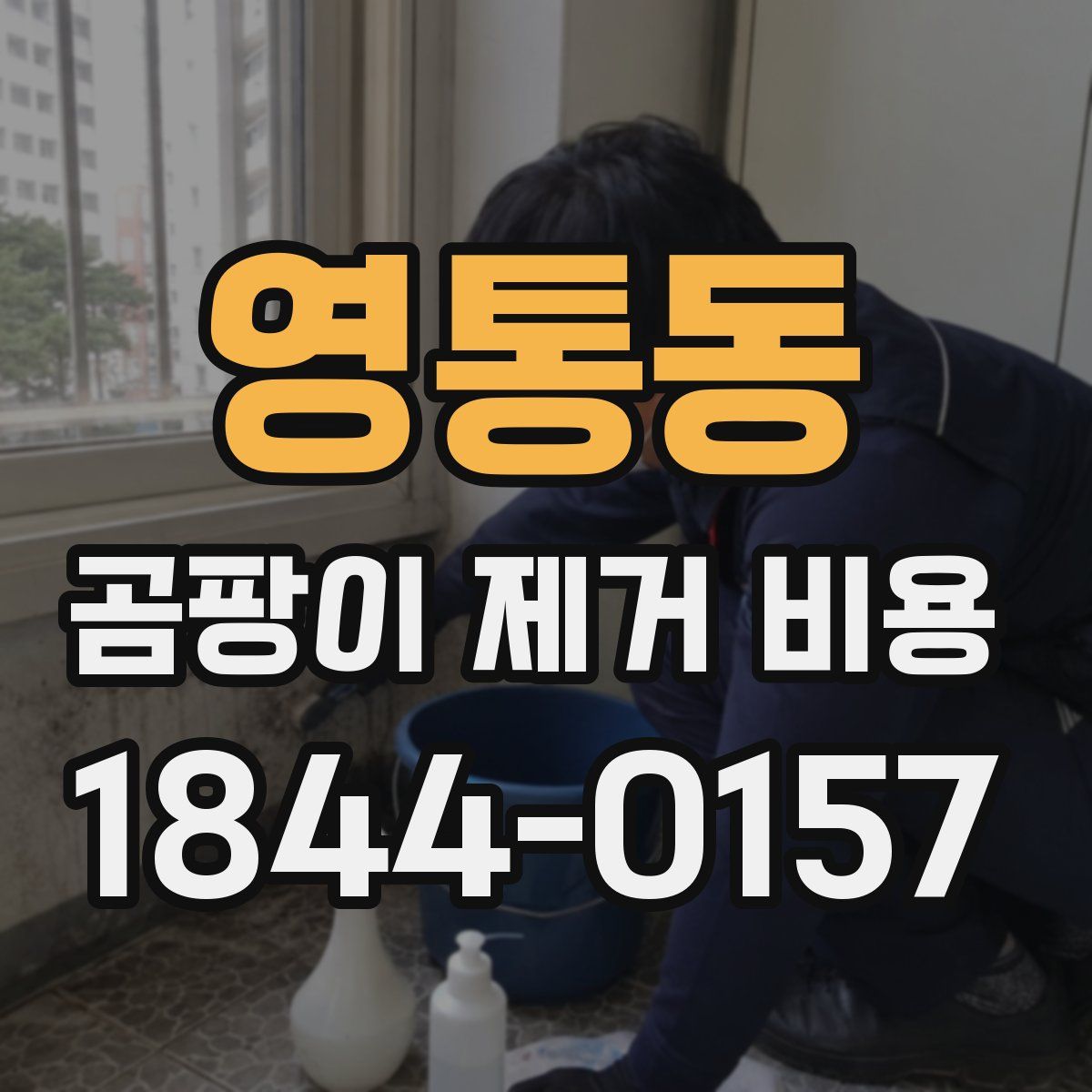 영통동 곰팡이 제거 비용