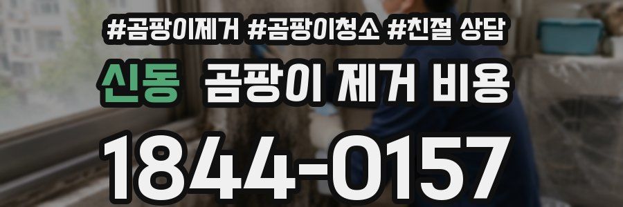신동 곰팡이 제거 비용
