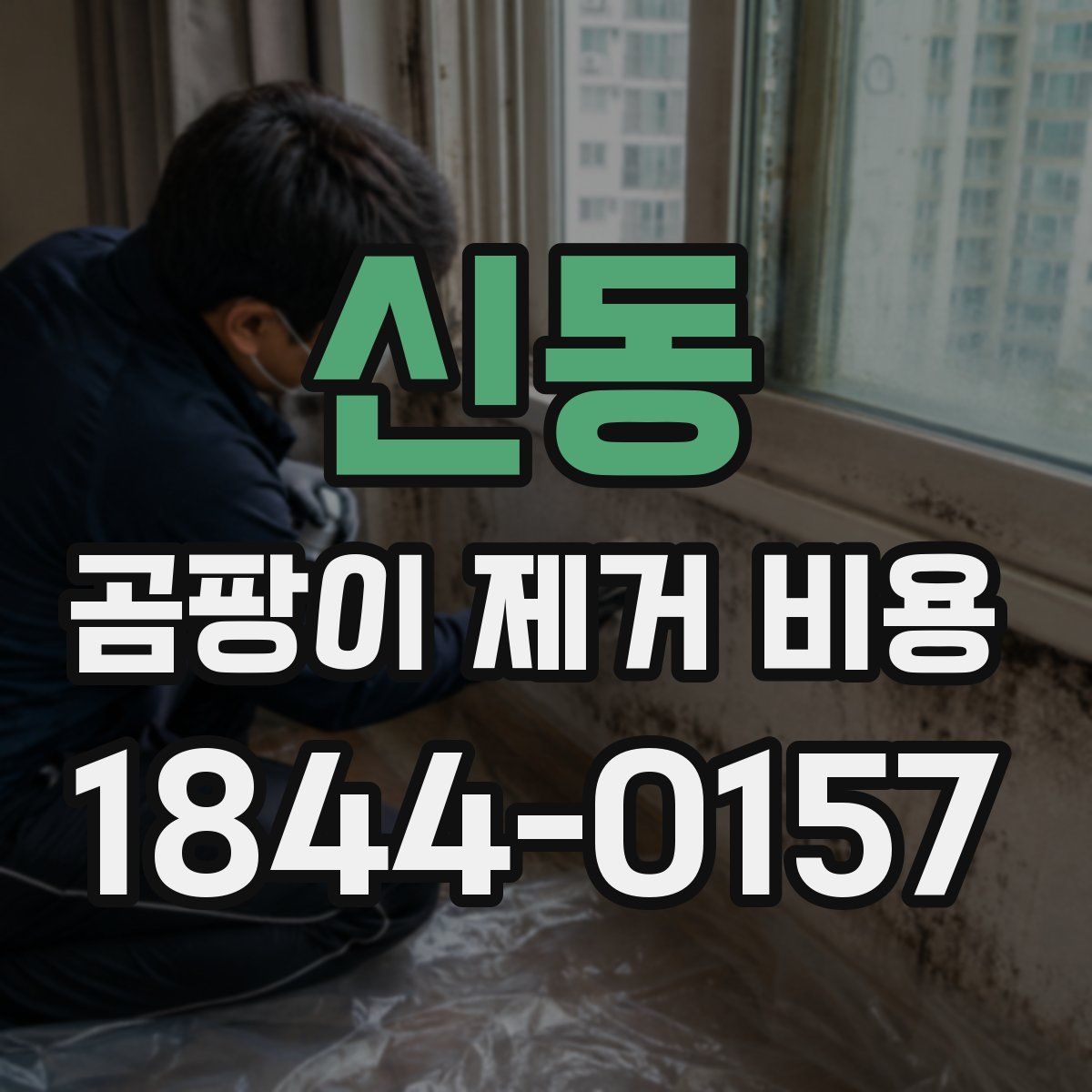 신동 곰팡이 제거 비용