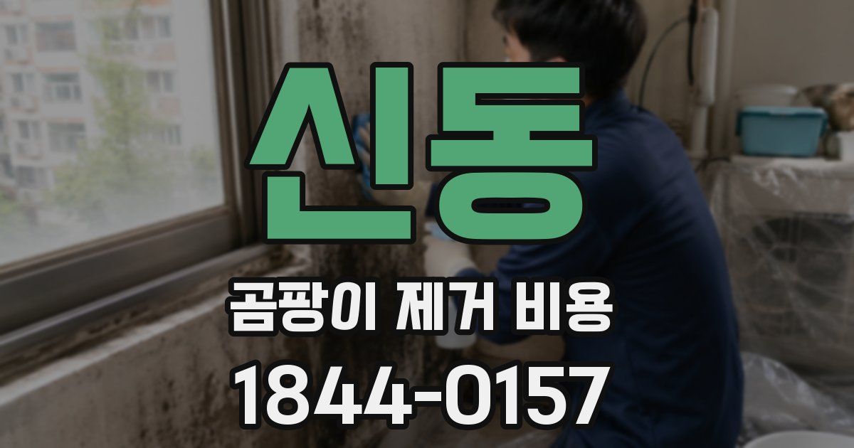 신동 곰팡이 제거 비용