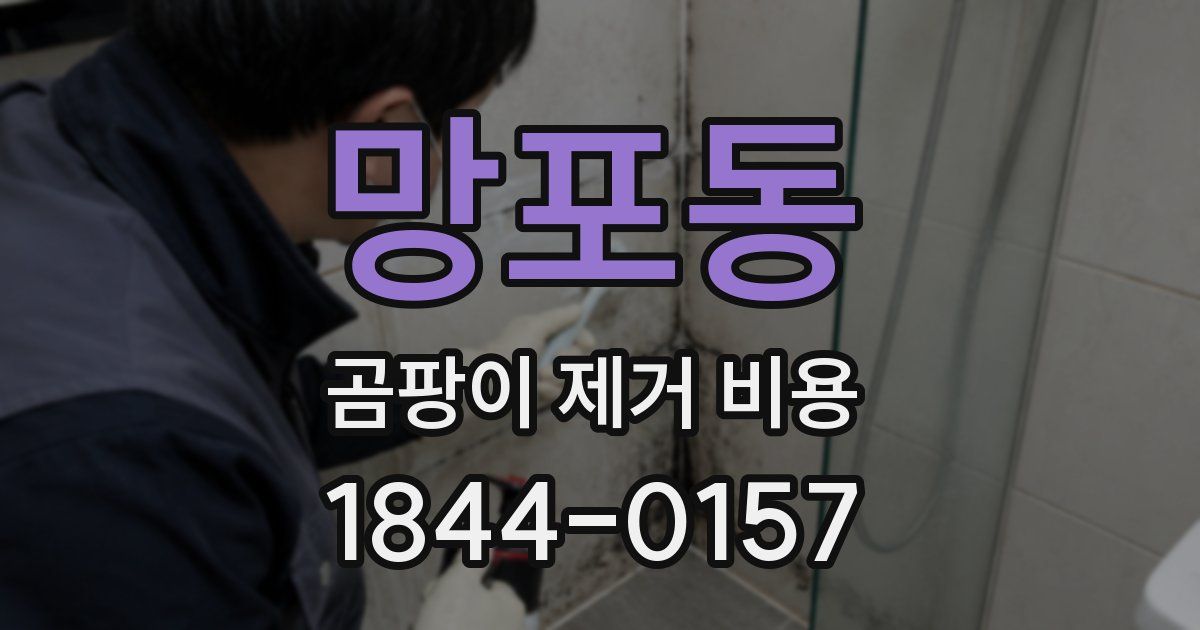 망포동 곰팡이 제거 비용