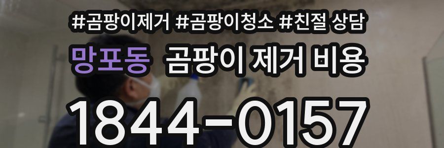 망포동 곰팡이 제거 비용