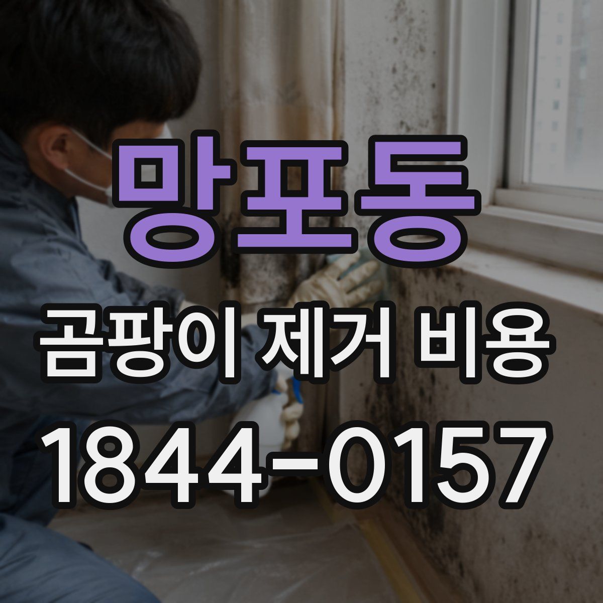 망포동 곰팡이 제거 비용