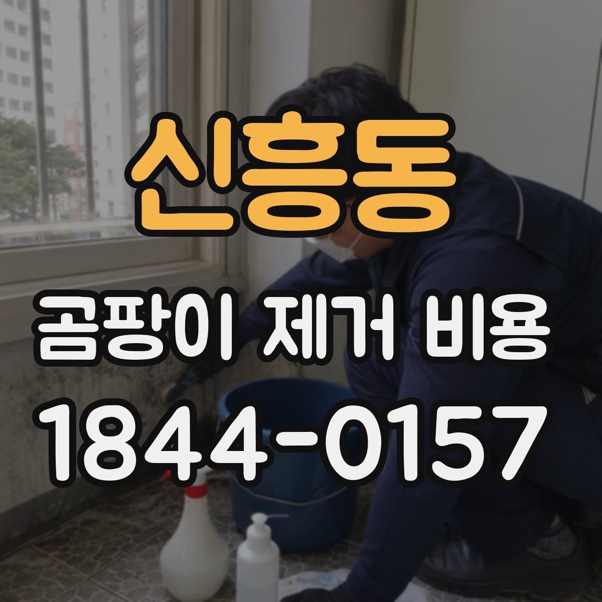 신흥동 곰팡이 제거 비용 예상보다 달라지는 이유