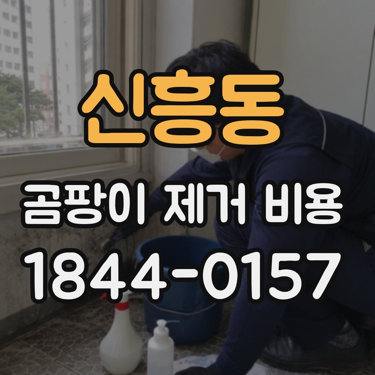신흥동 곰팡이 제거 비용