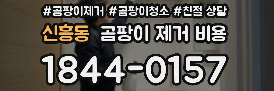 신흥동 곰팡이 제거 비용