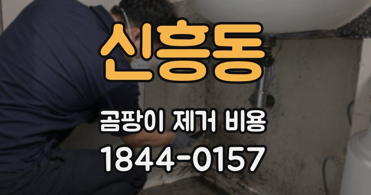 신흥동 곰팡이 제거 비용