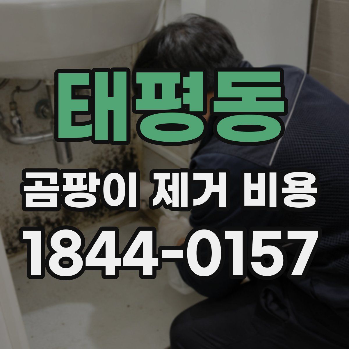 태평동 곰팡이 제거 비용