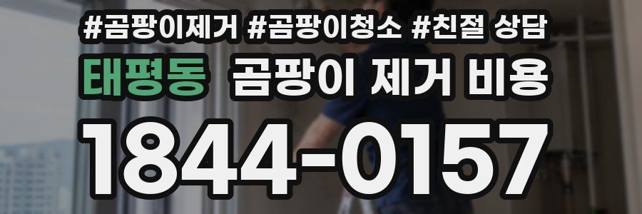태평동 곰팡이 제거 비용