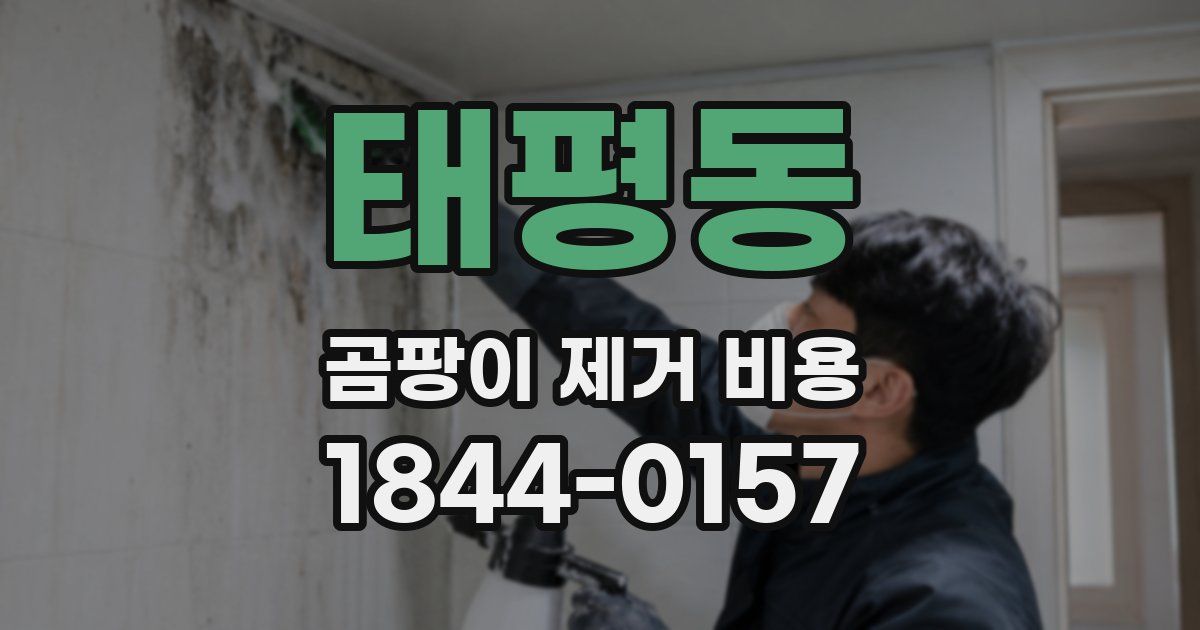 태평동 곰팡이 제거 비용