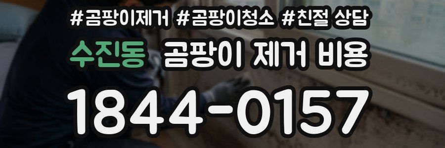 수진동 곰팡이 제거 비용