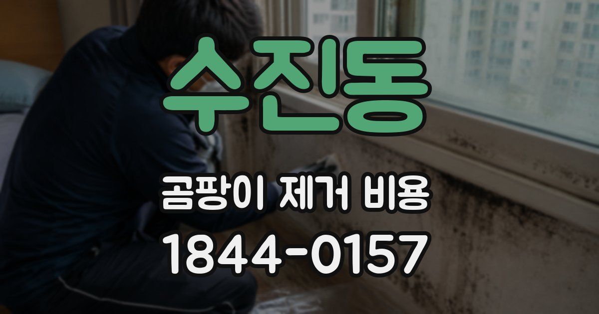 수진동 곰팡이 제거 비용