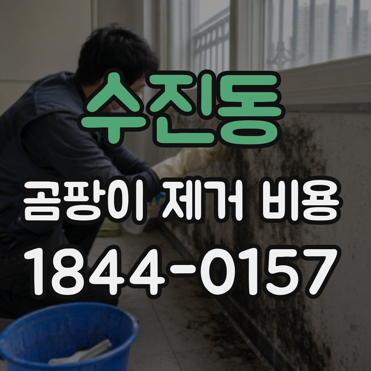 수진동 곰팡이 제거 비용