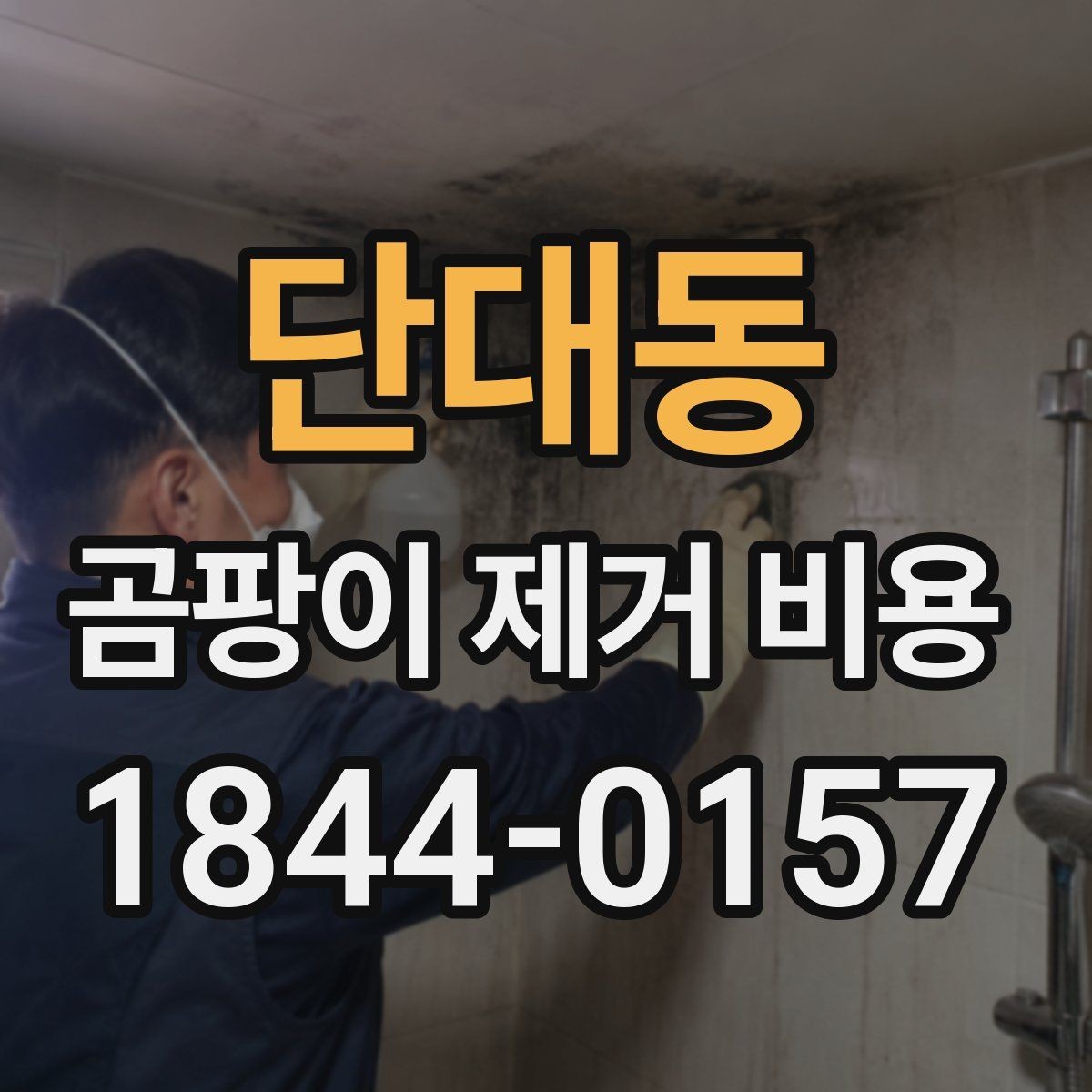 단대동 곰팡이 제거 비용 부분 보수로 가능한 경우와 아닌 경우