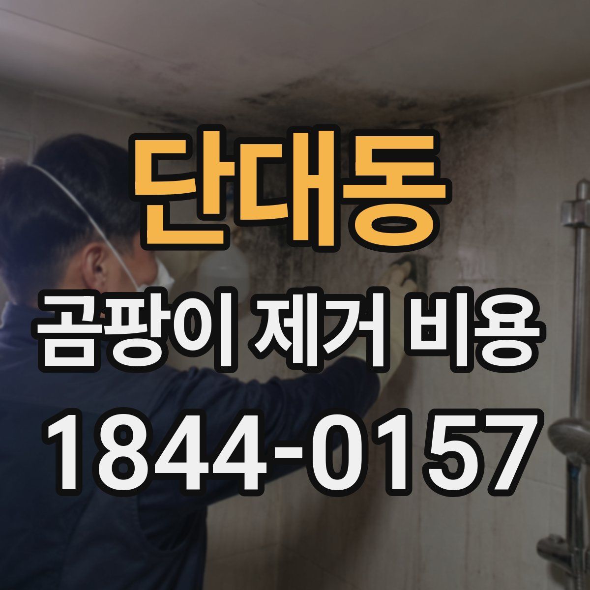 단대동 곰팡이 제거 비용