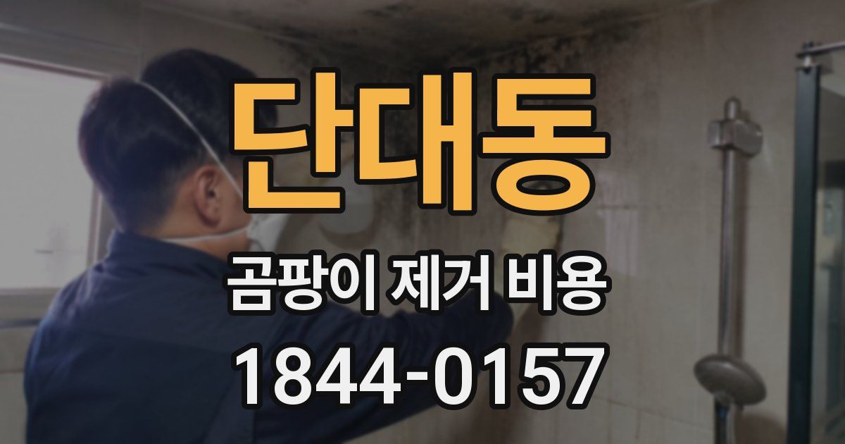 단대동 곰팡이 제거 비용