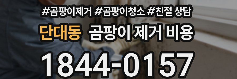단대동 곰팡이 제거 비용