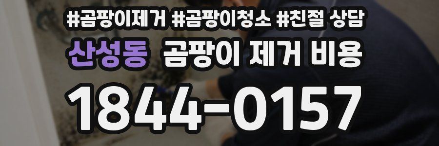 산성동 곰팡이 제거 비용
